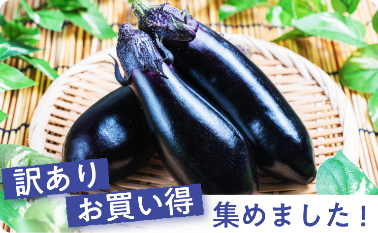 訳あり・お買い得・集めました!