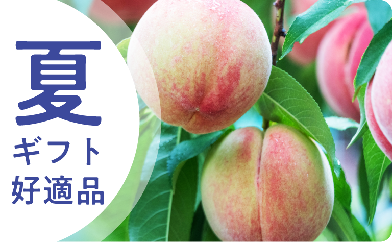 夏ギフト好適品
